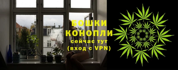 соль ск Каменногорск