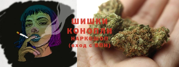 соль ск Каменногорск