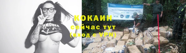 соль ск Каменногорск