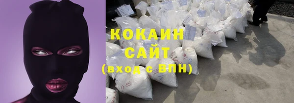 соль ск Каменногорск