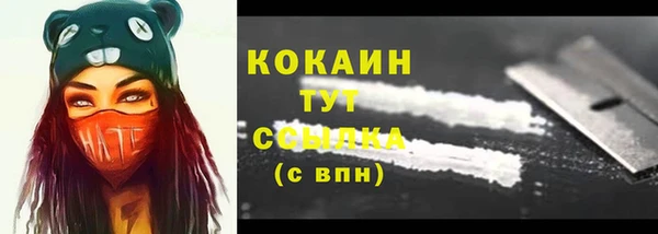 соль ск Каменногорск